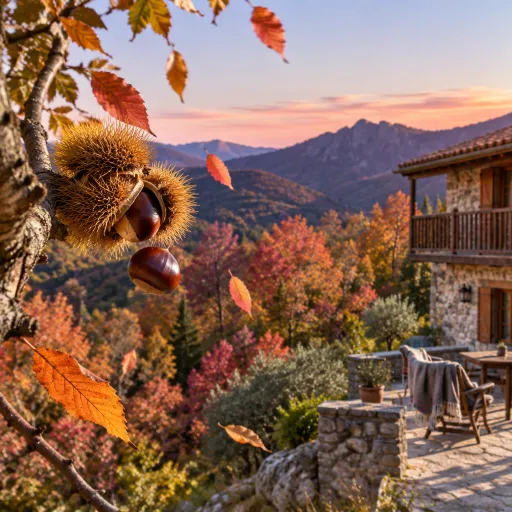 Corsica's fall foliage: where the chestnut and beech forests turn, and where to stay